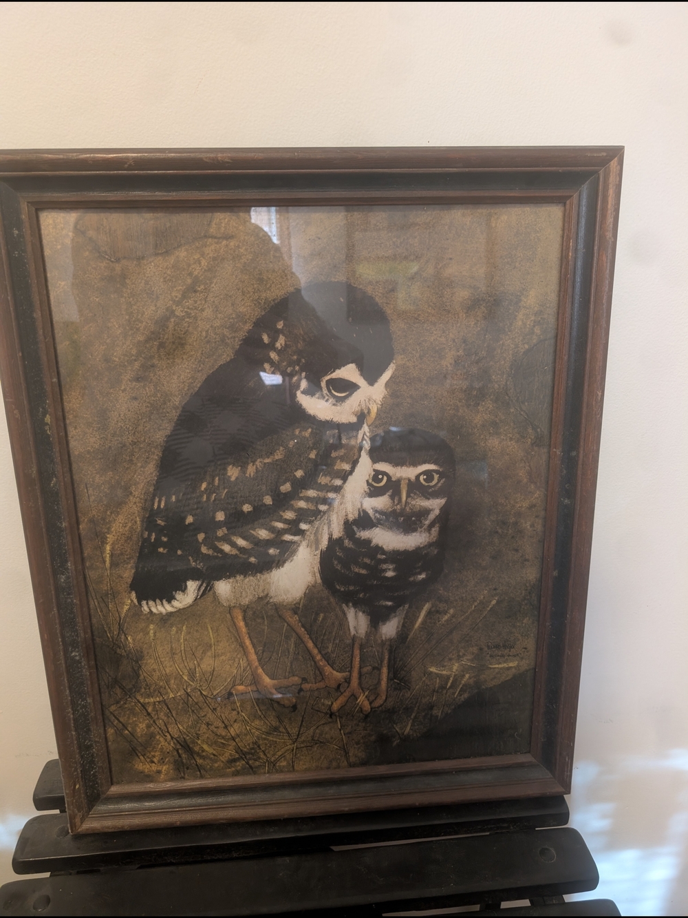 Framed Brown and Black Owl Art Print - Home Art